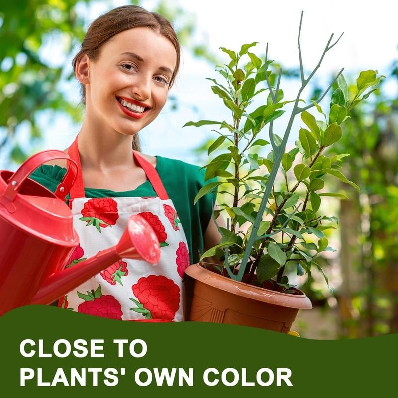 πππΏ 5 Pack Plant Support Stakes