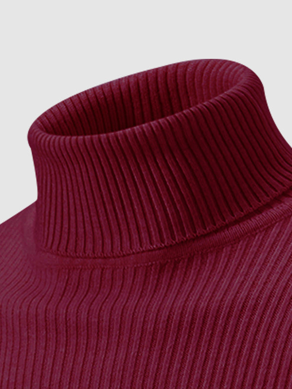 Einfarbiger, gestreifter Rollkragenpullover für Herren