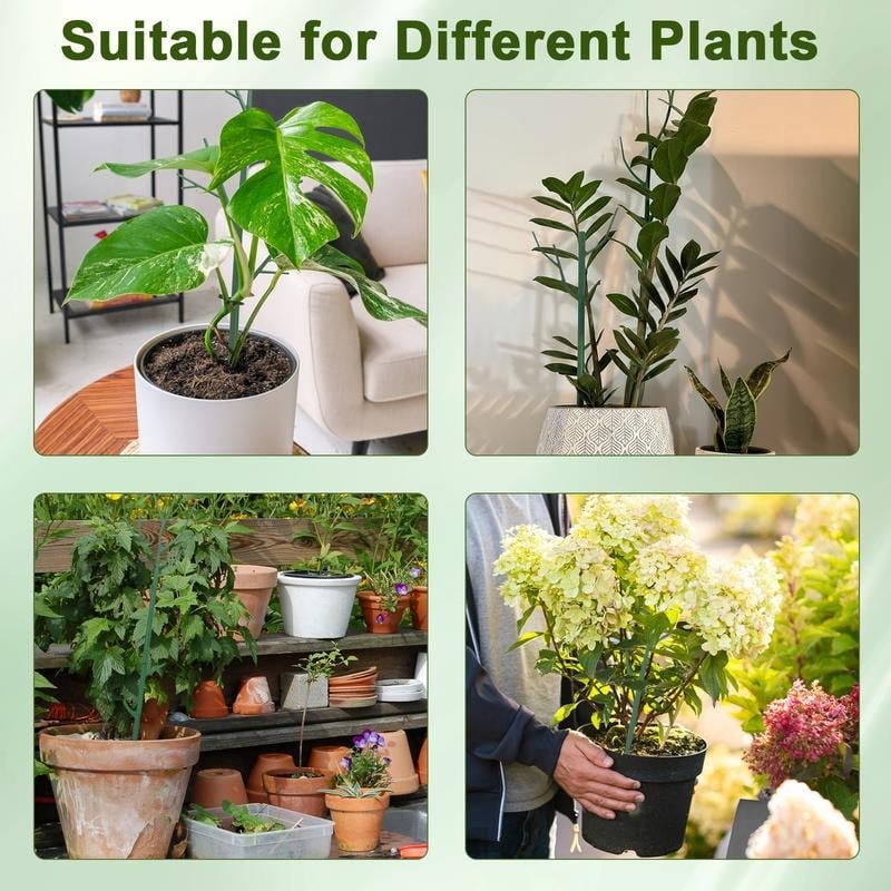 πππΏ 5 Pack Plant Support Stakes