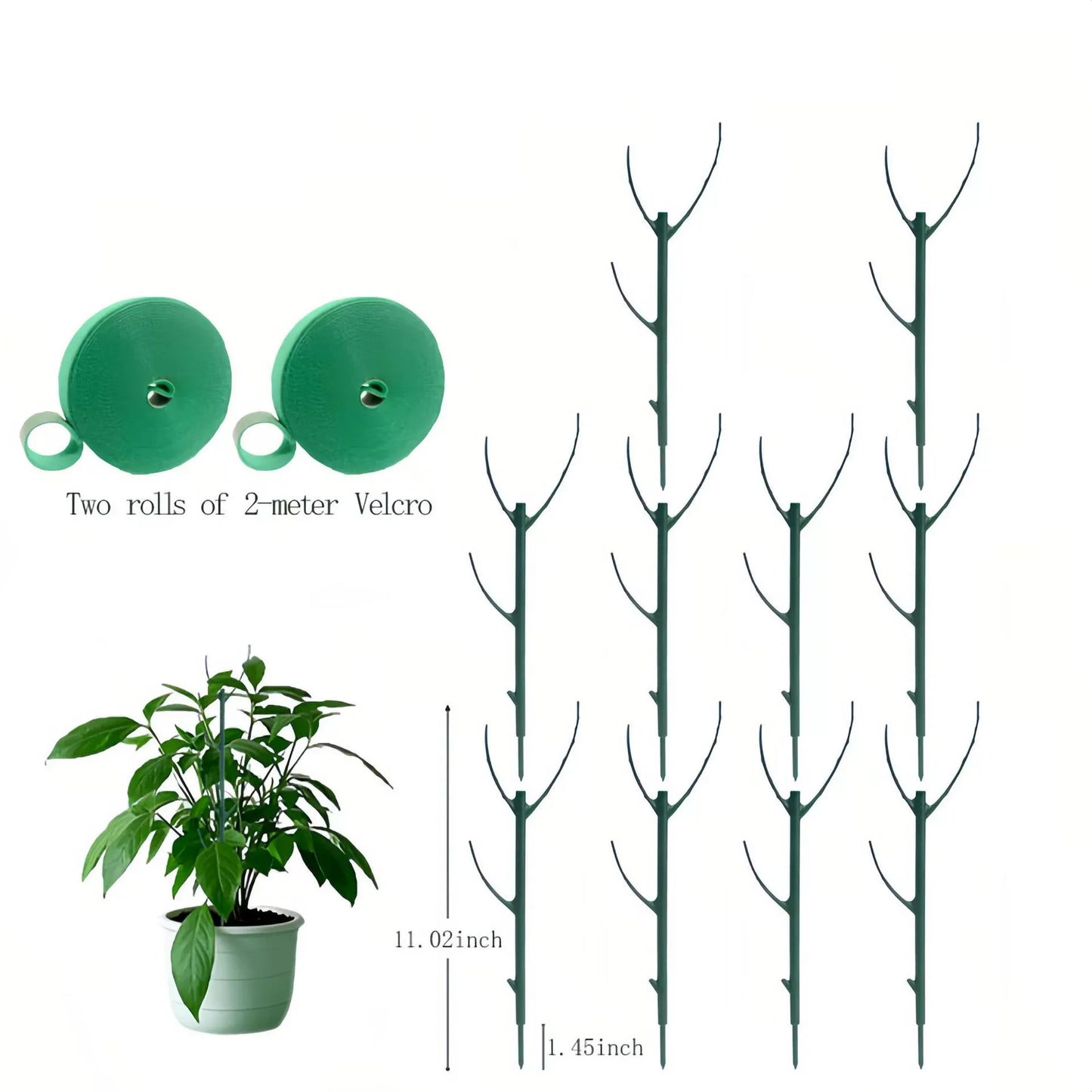 πππΏ 5 Pack Plant Support Stakes
