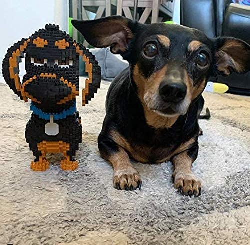 Puzzle Dog Friend