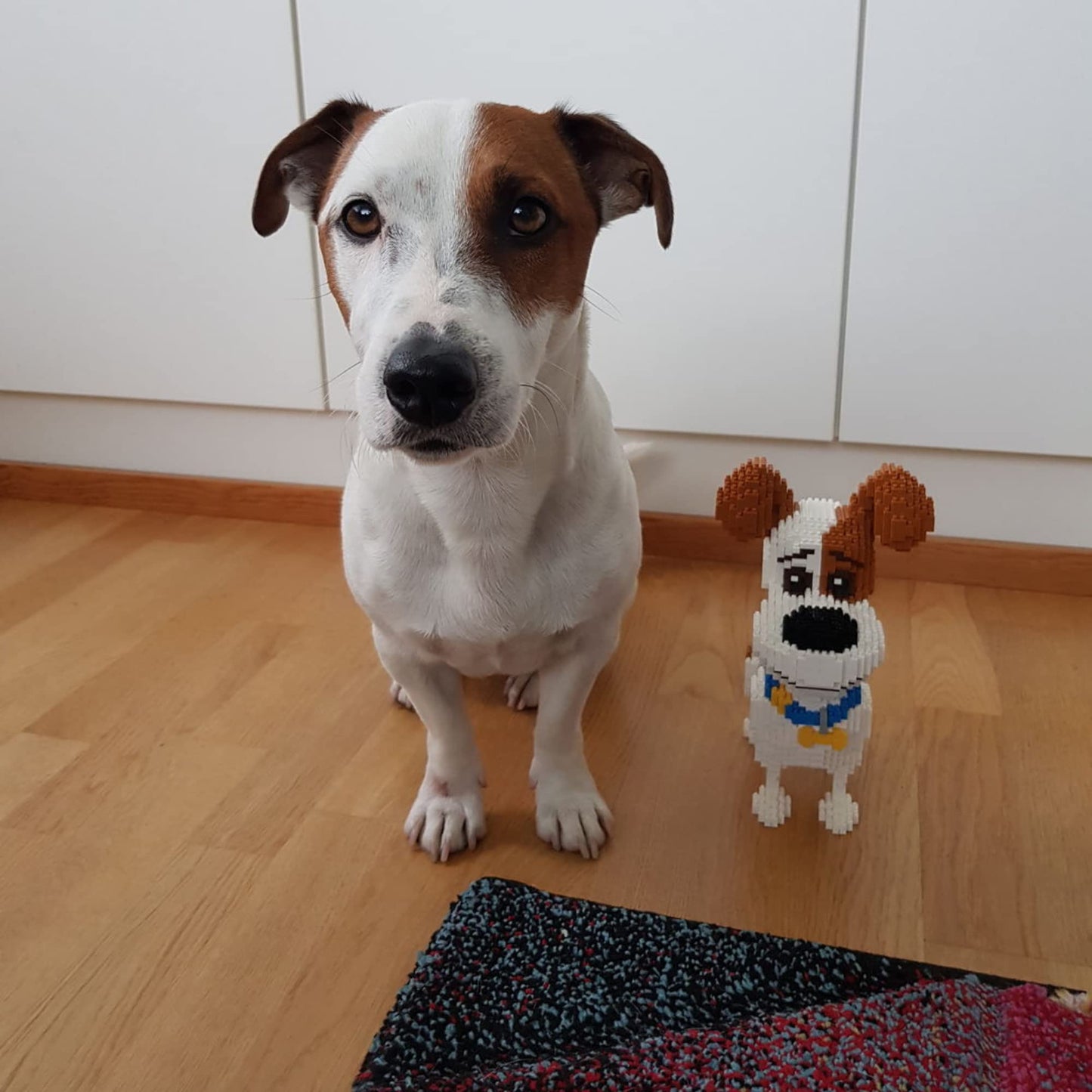 Puzzle Dog Friend