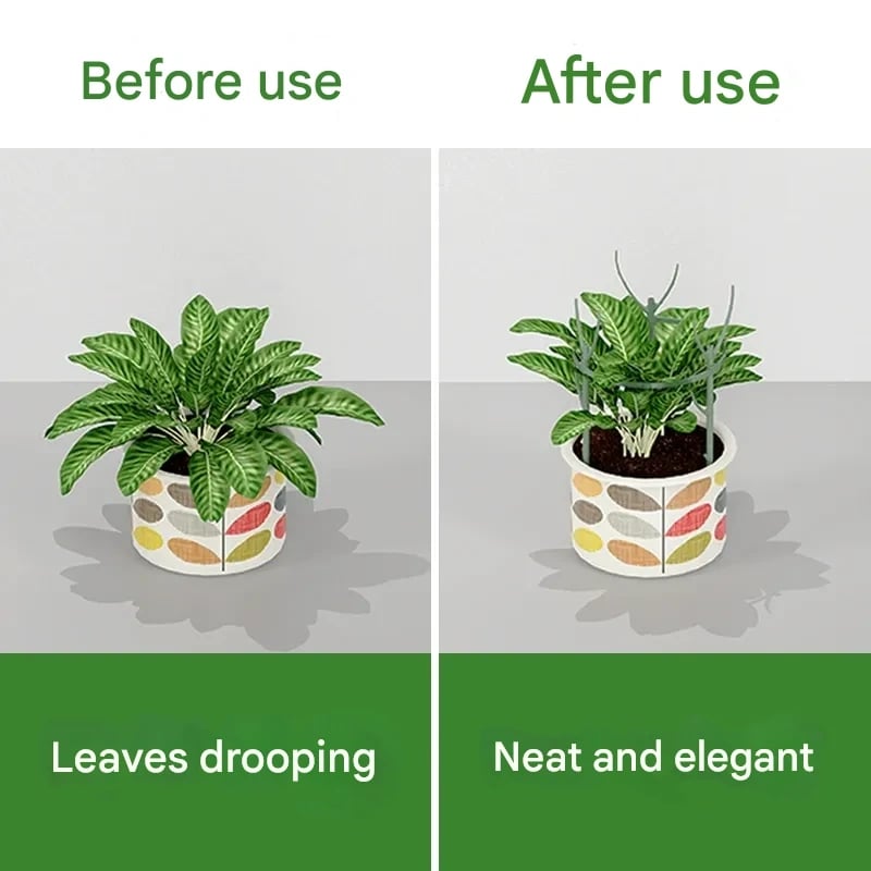 πππΏ 5 Pack Plant Support Stakes