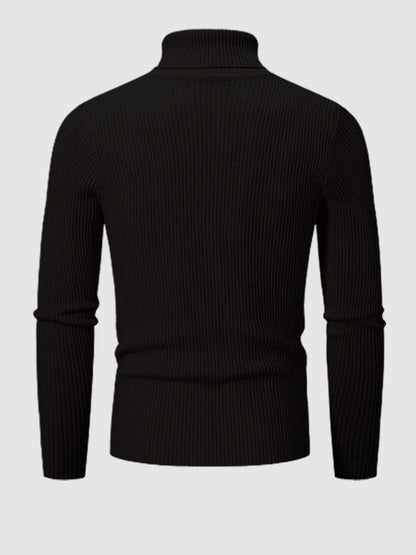 Men's Solid Color Striped Textured Turtleneck Sweater