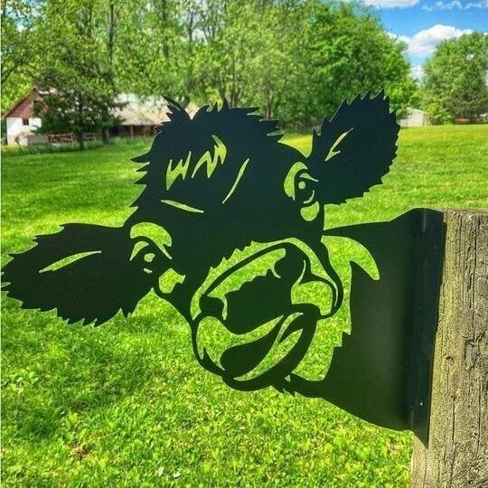 🔥Farm Peeping Animal Metal Art