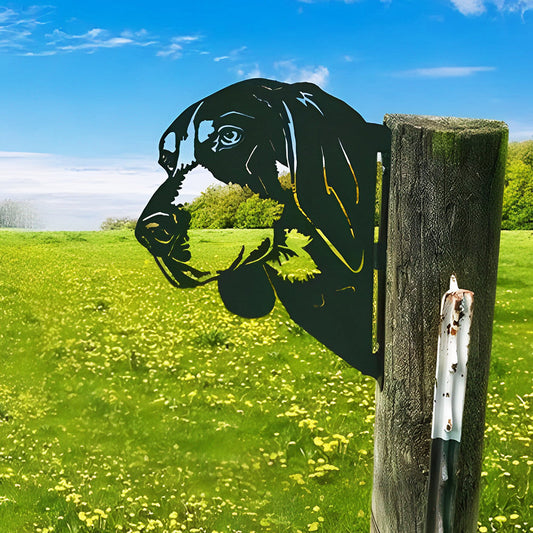 Dog Farm Peeping Animal Outdoor Metal Garden Art