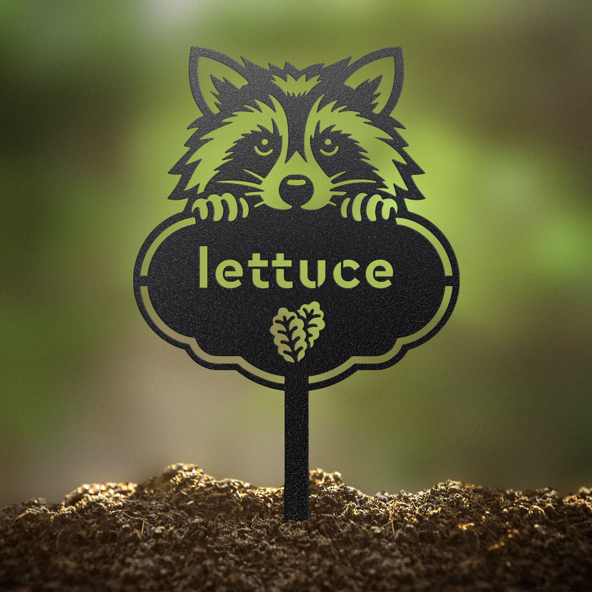 Rocky the Racoon Seed & Plant Markers