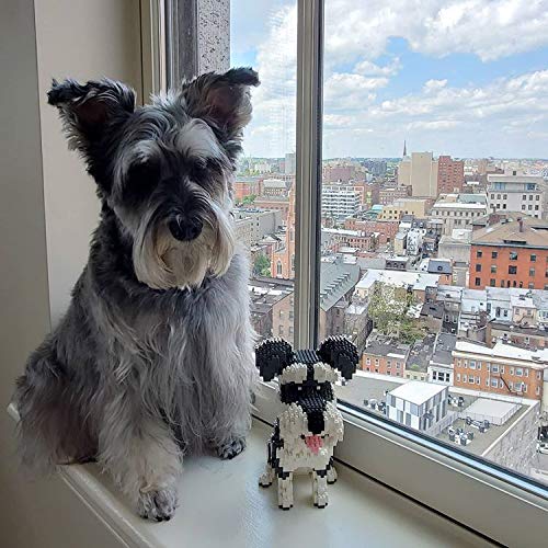 Puzzle Dog Friend